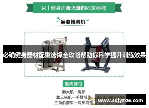 必确健身器材配重选择全攻略帮助你科学提升训练效果