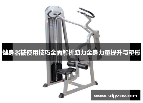 健身器械使用技巧全面解析助力全身力量提升与塑形