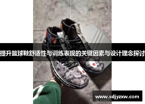 提升篮球鞋舒适性与训练表现的关键因素与设计理念探讨