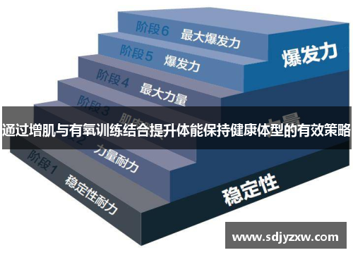 通过增肌与有氧训练结合提升体能保持健康体型的有效策略
