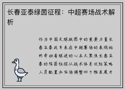 长春亚泰绿茵征程：中超赛场战术解析