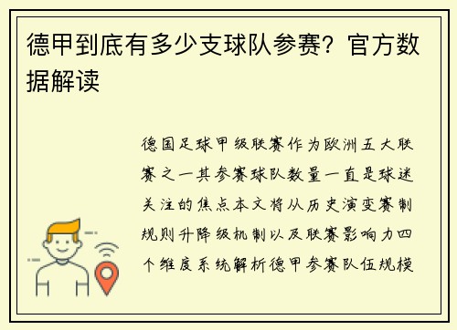 德甲到底有多少支球队参赛？官方数据解读